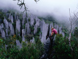 Person Taking Photograph in the Limestone Forest, Gunung Mulu National Park, Malaysia Fotografie-Druck von Mark Daffey
