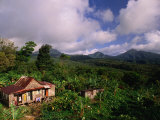 Overhead of House in Rainforest, Roseau Valley, Dominica Photographic Print by Michael Lawrence