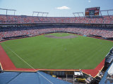 Crowded Baseball Stadium Photographic Print by Edward Slater