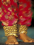 Indian Cultural Dances, Port of Spain, Trinidad, Caribbean Photographic Print by Greg Johnston