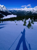Shadow of a Cross Country Skier on Snow, Banff, Canada Photographic Print by Philip Smith