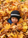 Child Playing in Leaves in Kadriorg Park, Tallinn, Estonia Photographic Print by Jonathan Smith
