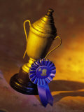 Trophy with Blue Ribbon, Photographic Print