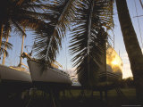 Boats at Sunrise, Nanny Cay Marina, Tortola Island Photographic Print by Alessandro Gandolfi