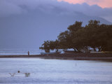 Fisherman, Papeeta, Society Islands, Tahiti Photographic Print by Alessandro Gandolfi