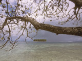 Island Near Raiatea Photographic Print by Alessandro Gandolfi