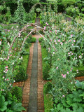 Formal Kitchen Garden Photographic Print by Georgia Glynn-smith