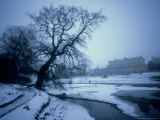 Winter Scene, Gloucestershire, UK Photographic Print by Mike England