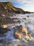 Limestone Boulder and Cliffside, Dorset, UK Photographic Print by David Clapp
