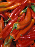 Chili Peppers, Siracusa, Italy Photographic Print by Dave Bartruff