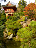 Japanese Tea Garden, Golden Gate Park, San Francisco, California, USA Photographic Print by Michele Westmorland