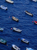 Fishing Boats at Anchor, Cape Sizun, Brittany, France Photographic Print by Jean-Bernard Carillet