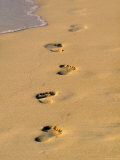 Footprints in Sand, Tropical Beach, Maldives Photographic Print by Jon Arnold