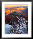 Grand Canyon Sunrise  Poster by William Neill