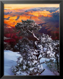 Grand Canyon Sunrise  Print by William Neill