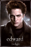 Twilight Posters