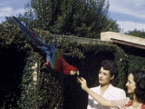 Two Women Give Food To a Red and Green Macaw in a City Garden Photographic Print by W. Robert Moore