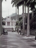 Royal Palms Line the Avenue Leading To Guanabara Palace Photographic Print by W. Robert Moore