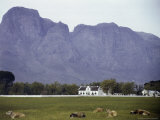 View of the Pastureland at the Colonial Boschendal Estate Photographic Print by W. Robert Moore