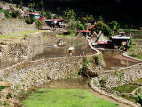 Houses and Rice Terraces in Village Photographic Print by Craig Pershouse