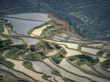 Flooded Rice Terraces of Honghe, China Photographic Print by Charles Crust