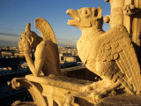 Chimeras of Notre Dame Cathedral, Paris, France Photographic Print by David Barnes