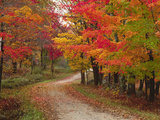 Vermont Country Road in Fall, USA Photographic Print by Charles Sleicher