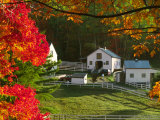 Morning Chores at the Imagination Morgan Horse Farm, Bethel, Vermont, USA Photographic Print by Charles Sleicher