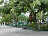 Christmastime at The Plazuela Machado in the Historic Center, Mazatlan, Mexico Photographic Print by Charles Sleicher