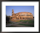 The Colosseum, Rome, Italy  Prints by David Marshall