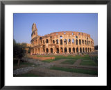 The Colosseum, Rome, Italy  Prints by David Marshall