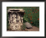 The Roman Forum in the Center of Ancient Rome, Italy  Prints by Connie Ricca