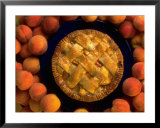 Peach Pie  Prints by Larry Stanley