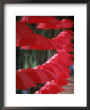 Umbrella Lights, Kunming, China  Prints by Hal Gage