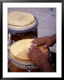 Man Playing Bongos Posters by B Gillingham