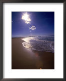 Overview of beach  Prints by Doug Page