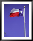 Texas State Flag  Poster by Chris Minerva