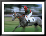 Man Riding Horse in a Steeplechase  Prints by Eric Horan
