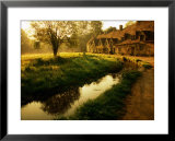 Morning Mist on Rack Isle Outside Weavers' Cottages, Arlington Row, Bibury, United Kingdom  Prints by Barbara Van Zanten