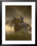 Cowgirl Rounding-Up Wild Horses, OR  Prints by B Gillingham