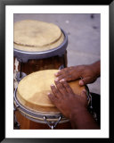 Man Playing Bongos  Poster by B Gillingham