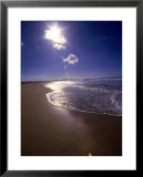 Overview of beach  Poster by Doug Page