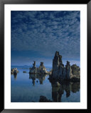 Tofas at Mono Lake, California  Art by Lynn Eodice