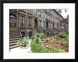 Brownstone in Brooklyn, New York, USA  Print by Lynn Seldon