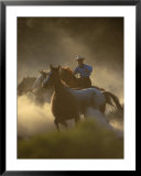 Cowgirl Rounding-Up Wild Horses, OR  Prints by B Gillingham