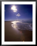 Overview of beach Posters by Doug Page