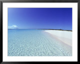 Bahamian shoreline Posters by Jan & Rhys Hanna