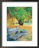 Bench, Autumn Colors  Print by Lynn Eodice