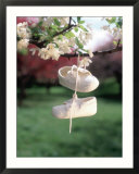 Baby Shoes Hanging From Tree Branch Posters par Henryk T. Kaiser