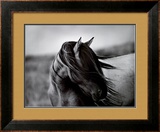 Fierce Grace Prints by Tony Stromberg